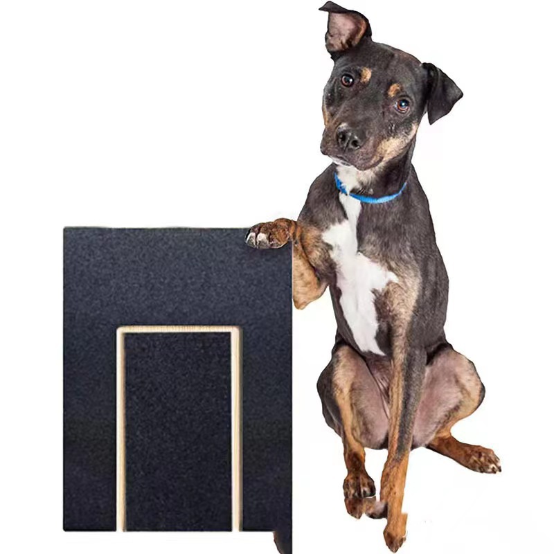 Dog posing with the scratch board